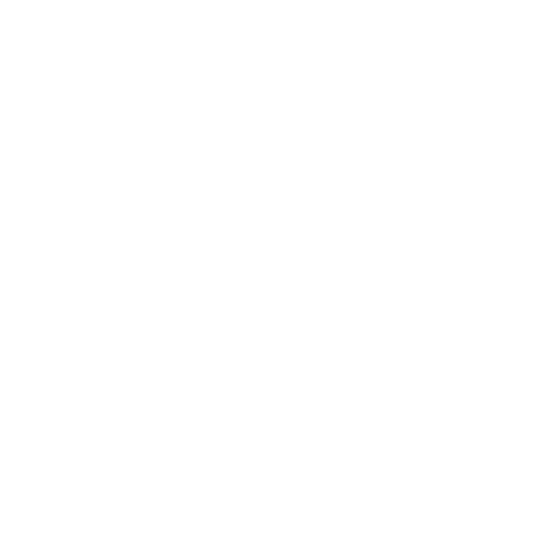 FFR Institute